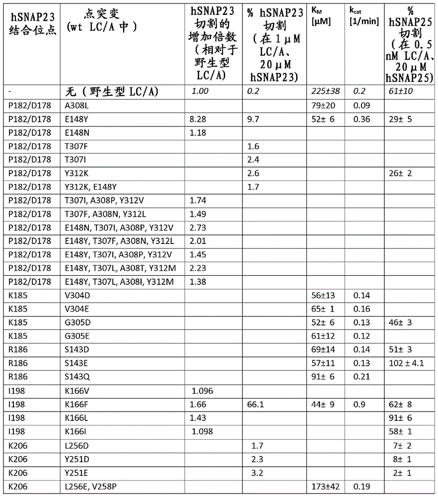 切割非神经元SNARE的肉毒杆菌神经毒素的制作方法