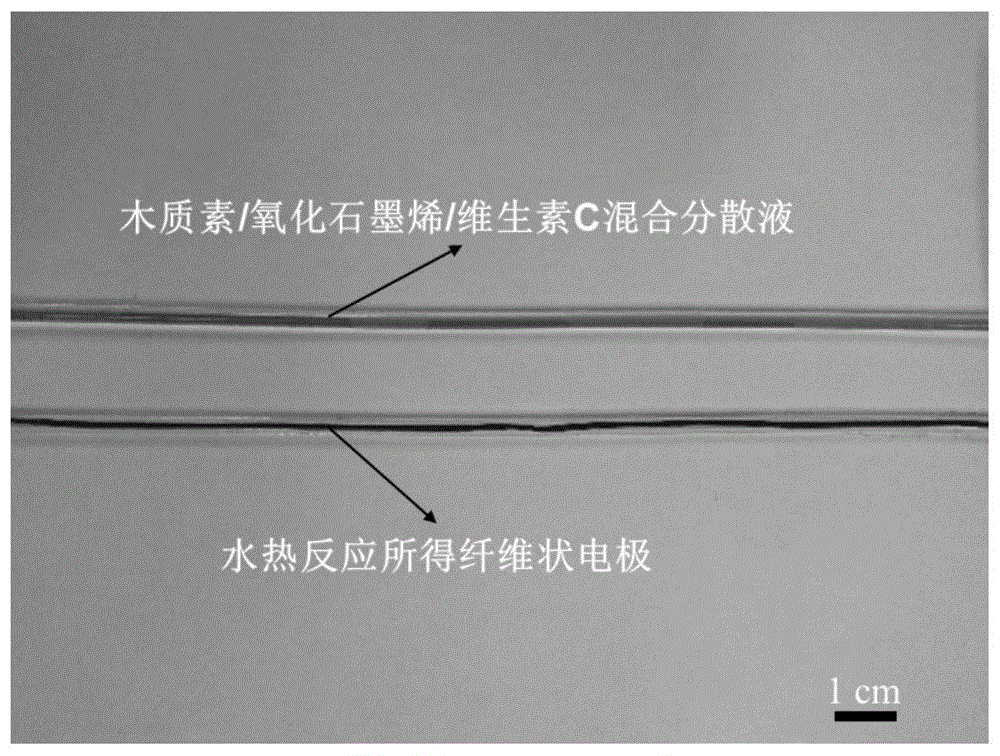 一种木质素基柔性纤维状电极及其制备方法与应用与流程