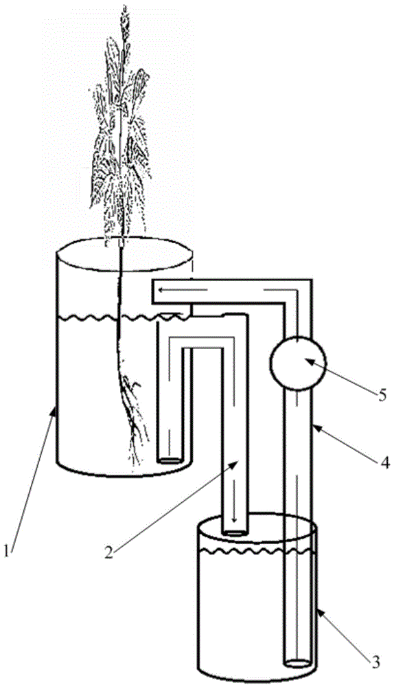 水培装置的制作方法