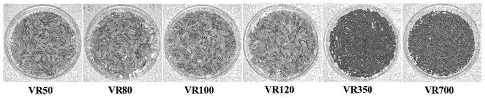 一种基于醋糟废弃物制备的微生物固定化载体及其制备方法与应用与流程