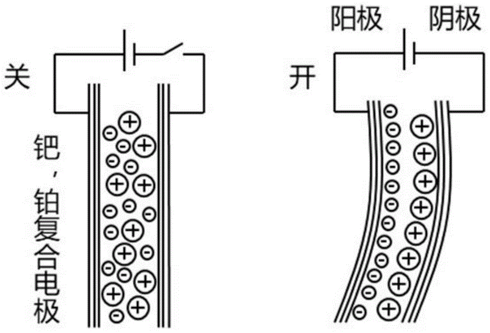 高性能电驱动全氟磺酸IPMC柔性驱动器的制备方法与流程