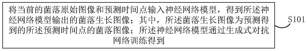 菌落生长图像的预测方法、装置、电子设备及存储介质与流程