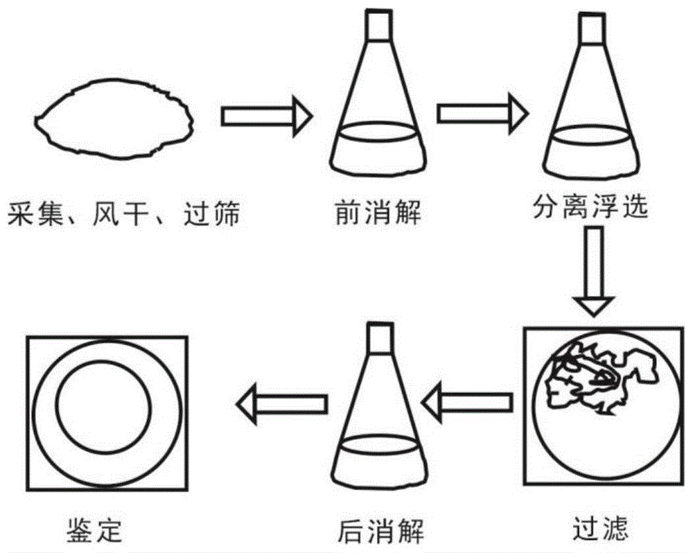 一种快速分离土壤中微塑料的方法与流程