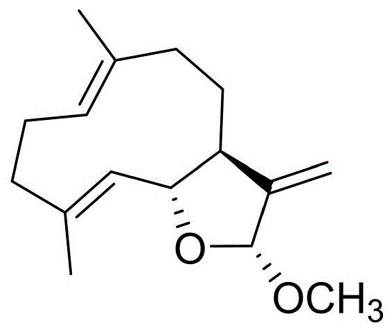 12α-甲氧基-吉玛烷-三烯-12,6α-缩醛的抗人胶质瘤用途的制作方法