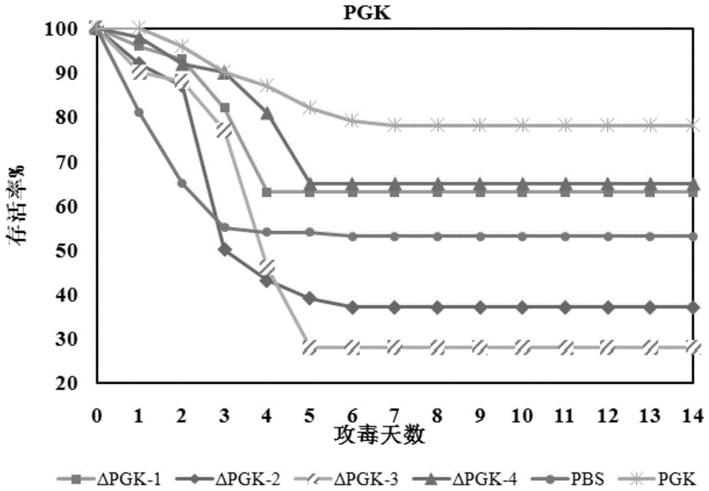 水产病原菌糖酵解途径中持家酶的广谱组合型疫苗及其应用的制作方法