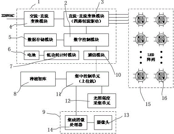 一种可动态调节的LED植物补光系统及动态调光方法与流程