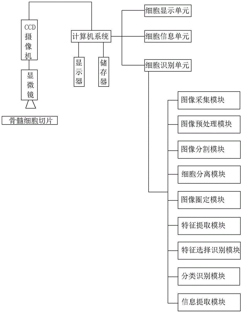 一种骨髓细胞形态学人工智能模拟教学系统及其方法与流程