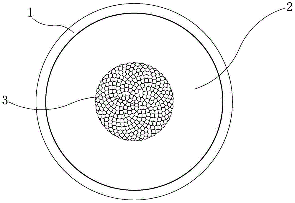 一种COB透镜的制作方法