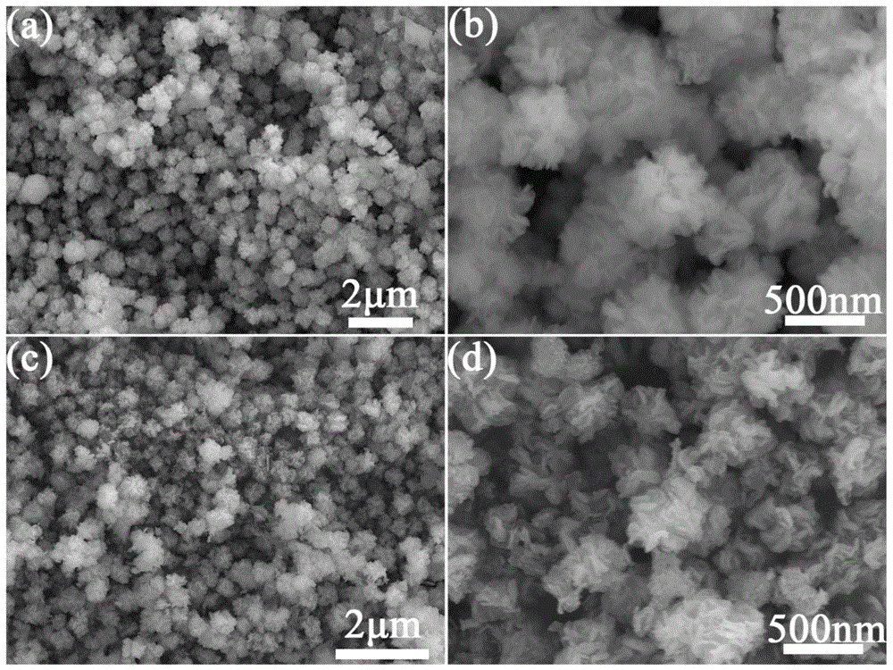 一种纳米花状NiCoP超级电容器电极材料及其制备方法和应用与流程