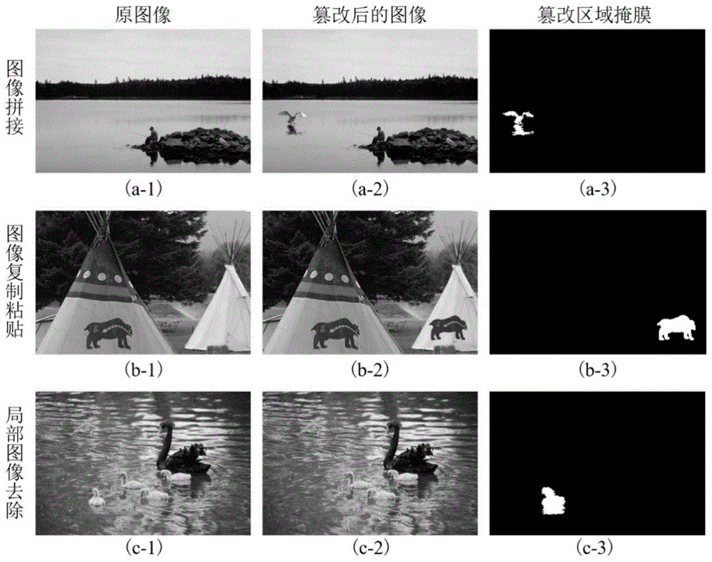 一种图像真伪鉴别方法及其在证照识别中的应用与流程