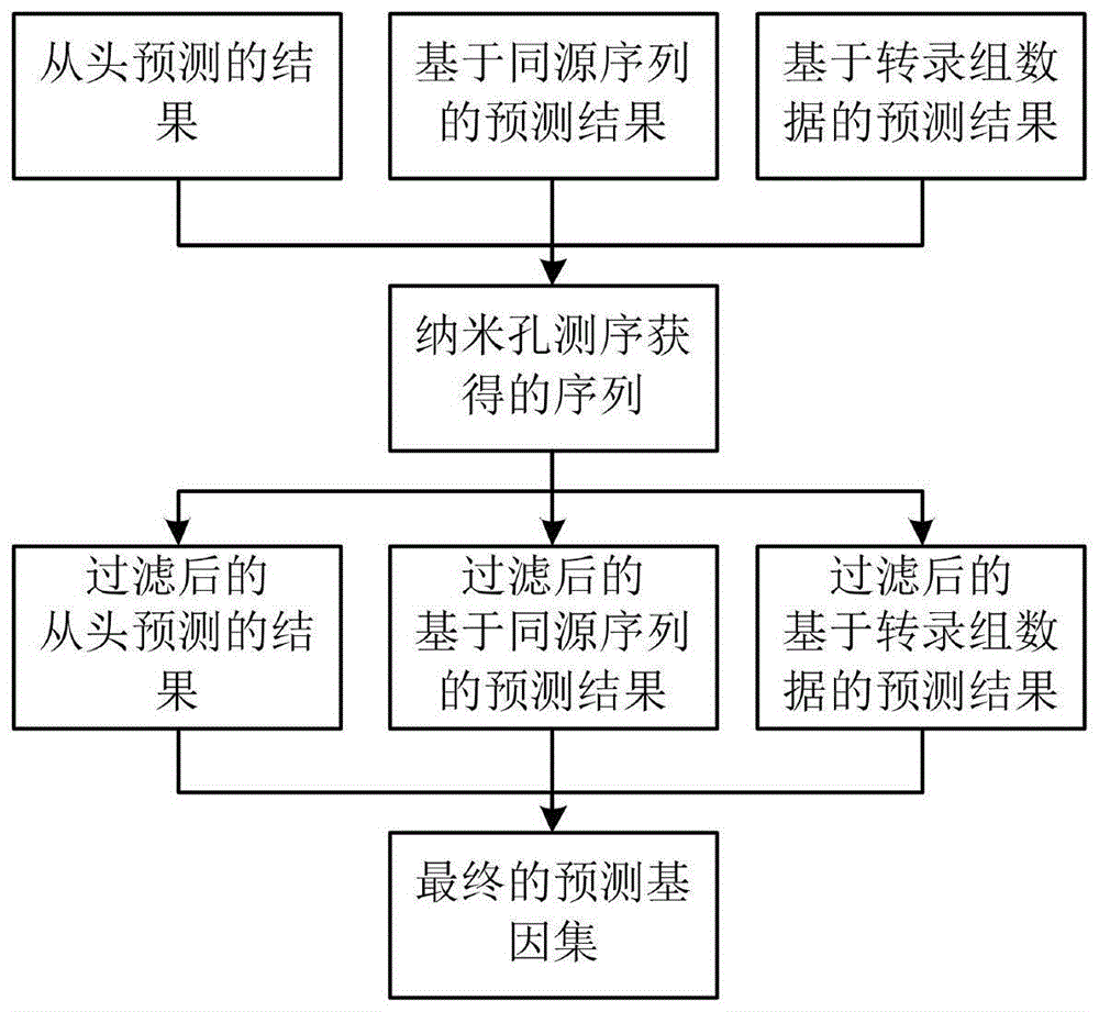 利用纳米孔测序数据的高原多倍体鱼类基因组注释方法与流程