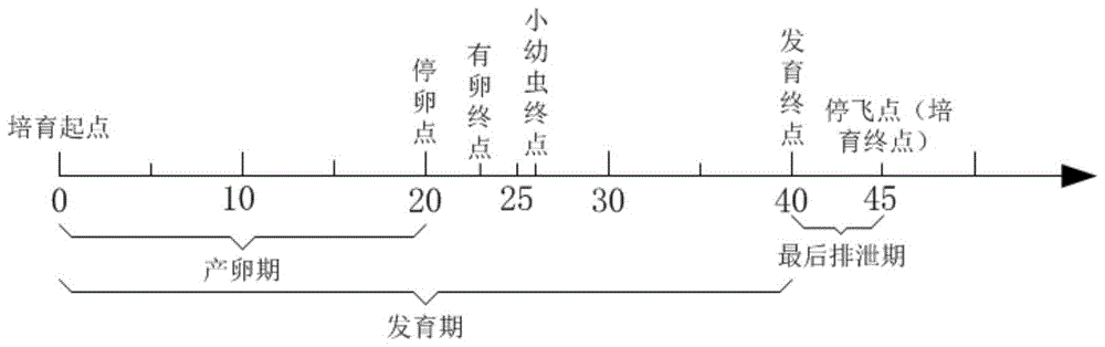 一种确定中华蜜蜂适龄越冬蜂培育时间段的方法与流程