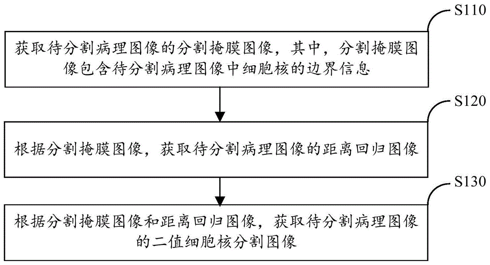 图像分割方法及装置、神经网络模型的训练方法及装置与流程