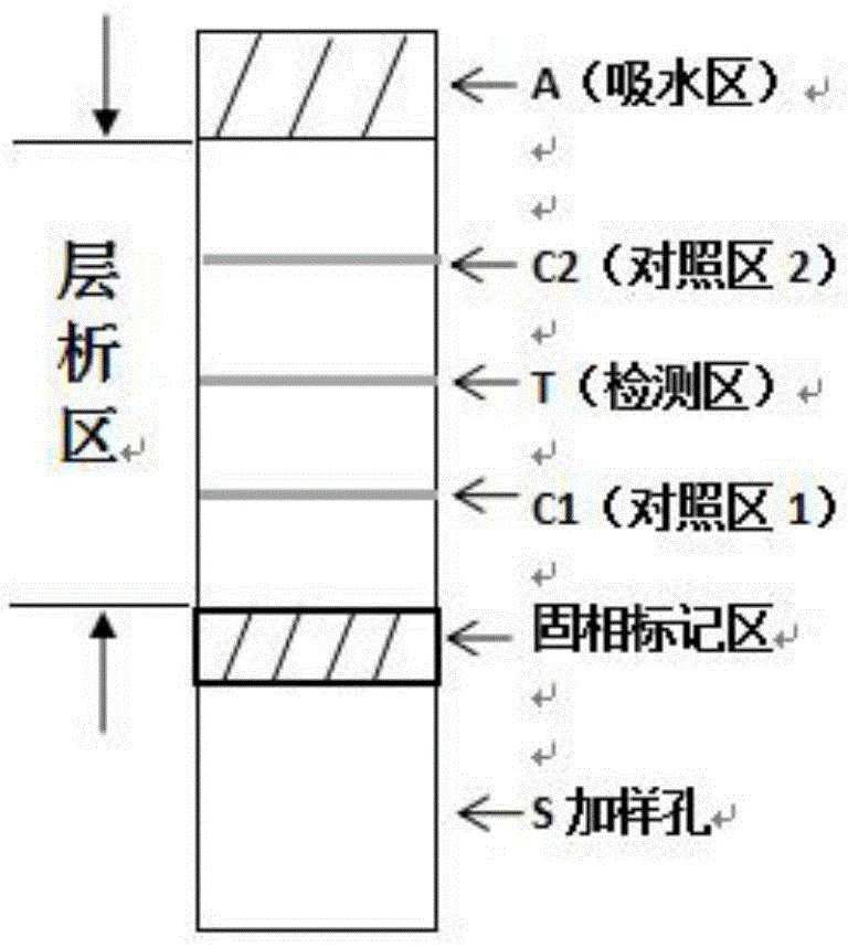 一种检测人体生理物质浓度的试纸条、试剂盒以及制备方法与流程