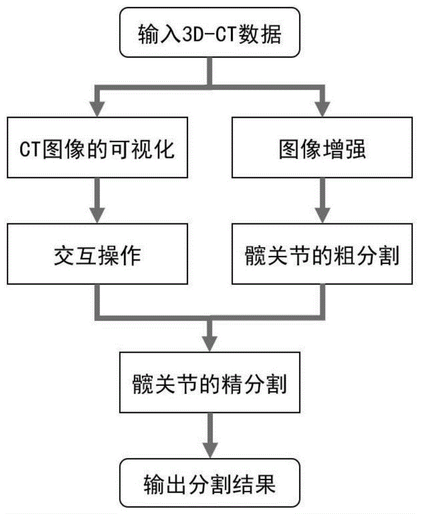 一种针对病变髋关节图像的半自动的分割方法和装置与流程