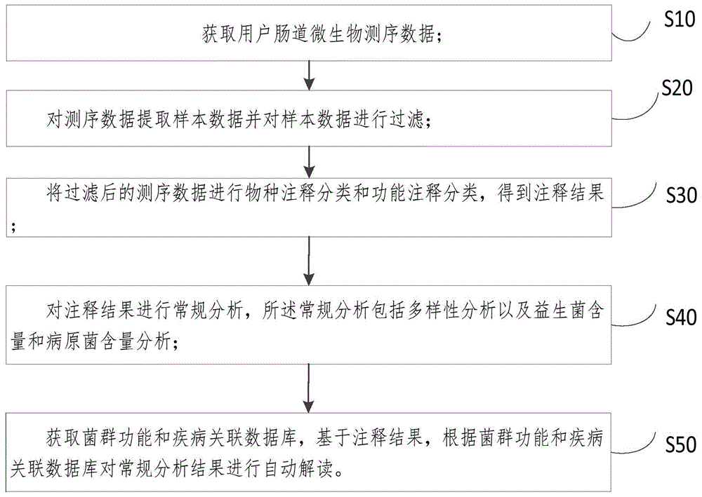 肠道微生物检测数据分析方法、自动化解读系统及介质与流程 