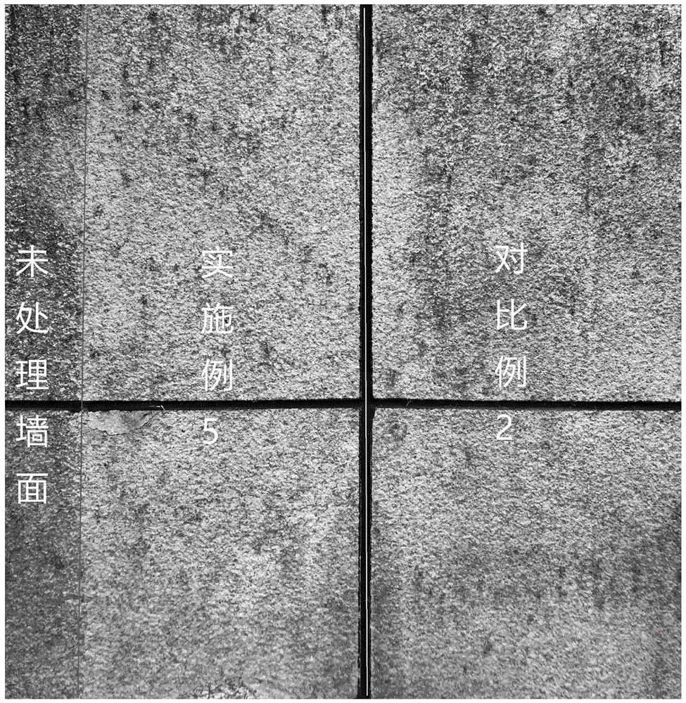 一种杀灭和抑制细菌及病毒的制剂及使用方法与流程