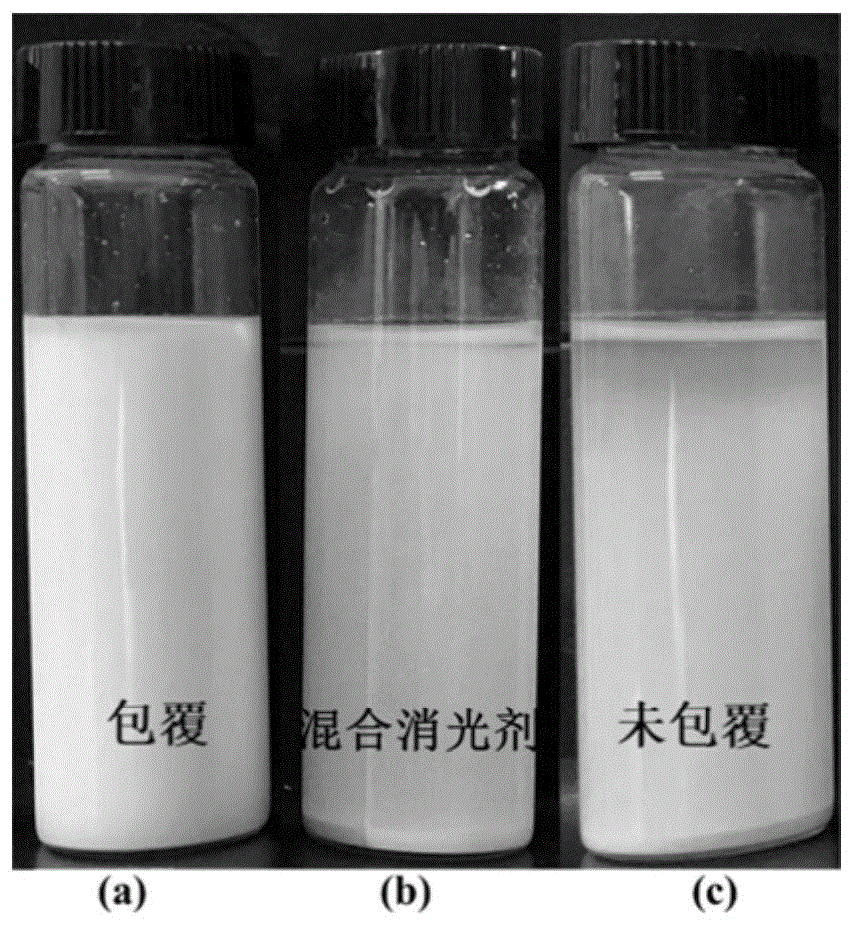 改性钛白粉及其制备方法和应用与流程