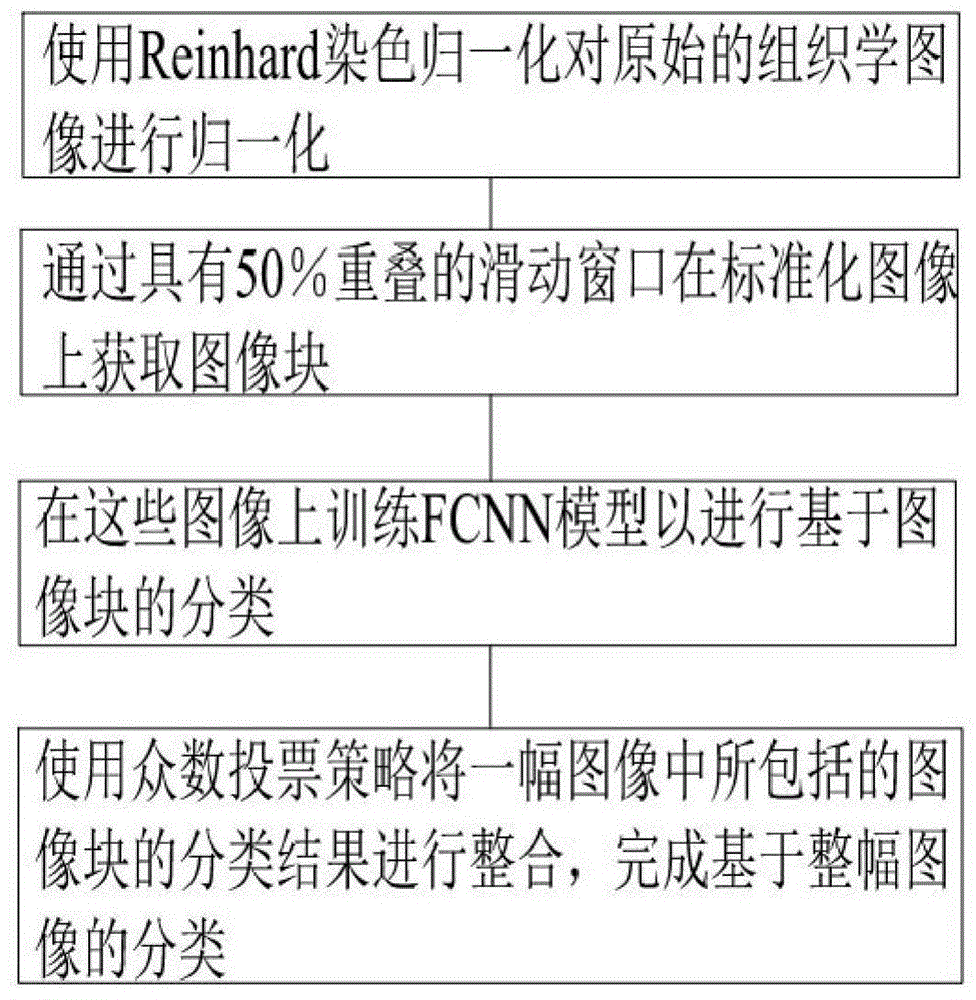 基于深度融合卷积神经网络模型及其组织学图像分类方法与流程