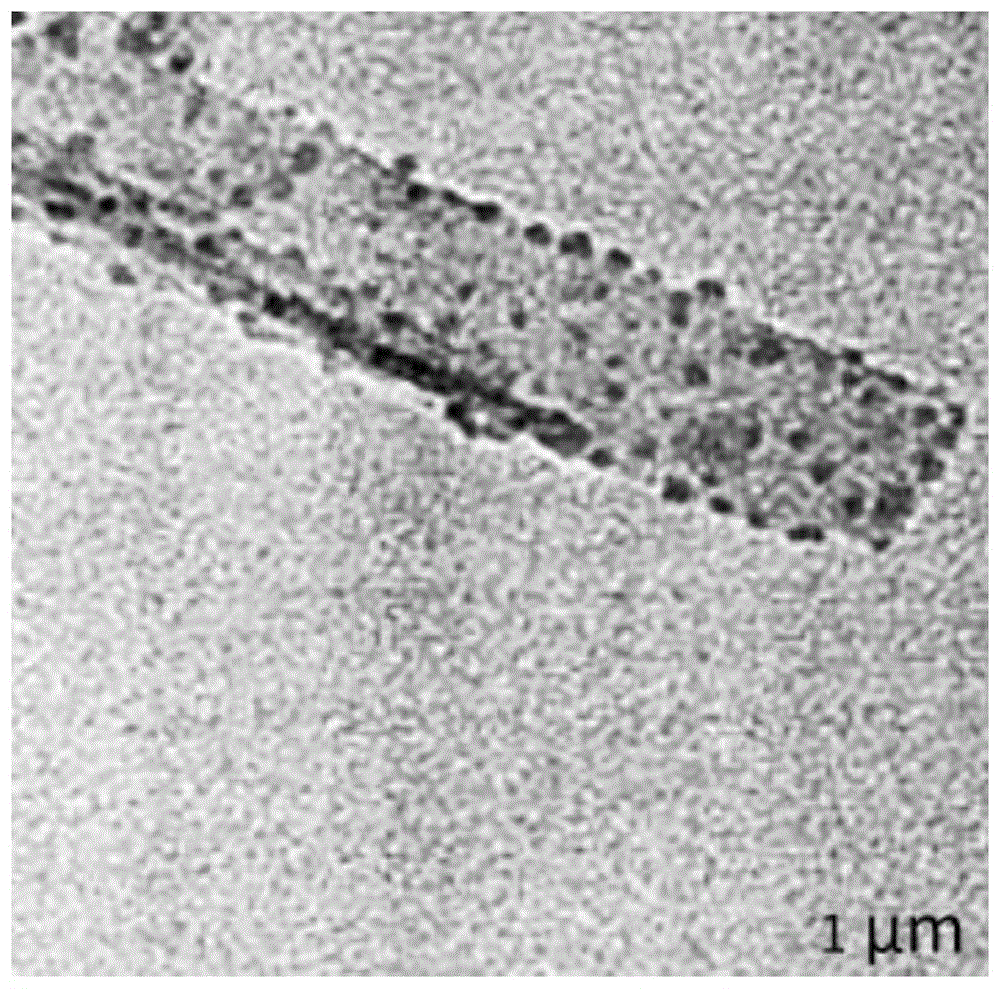 一种微孔发泡高强度抗老化PPA/PETG复合塑料井盖及其制备方法与流程