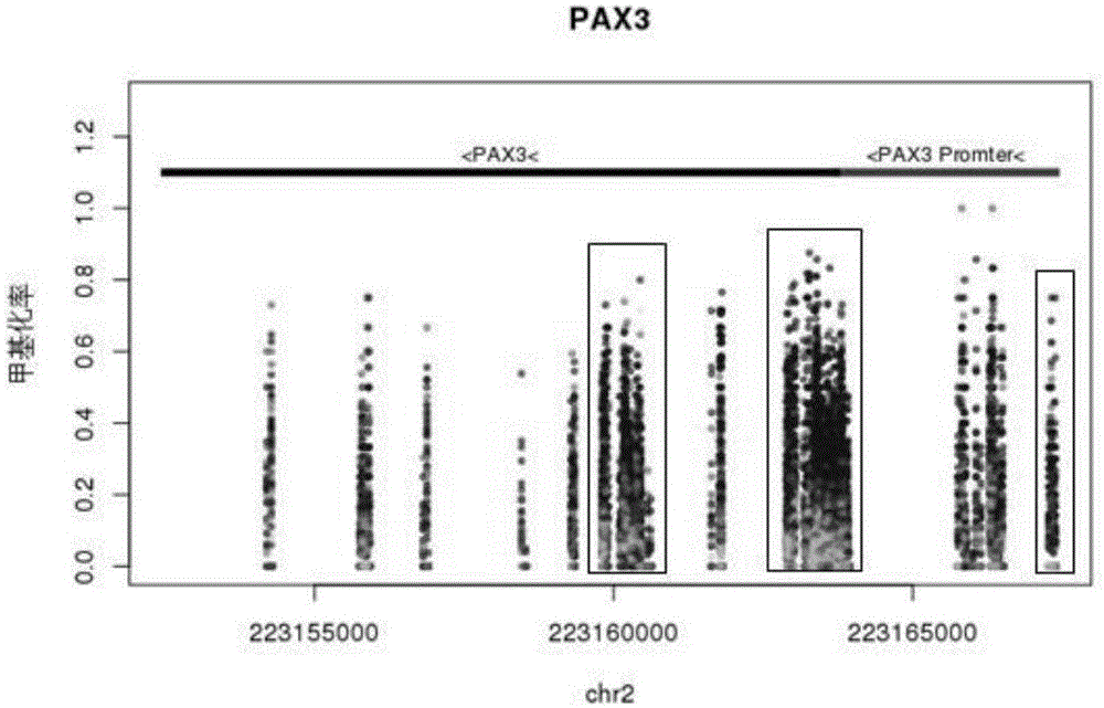 基于PAX3和ZIC4基因的肺癌诊断试剂及试剂盒的制作方法