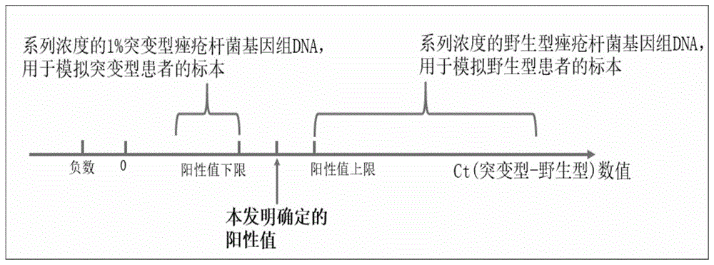 一种提升痤疮杆菌耐药突变及耐药基因检测准确性和效率的方法及其配套试剂盒与流程