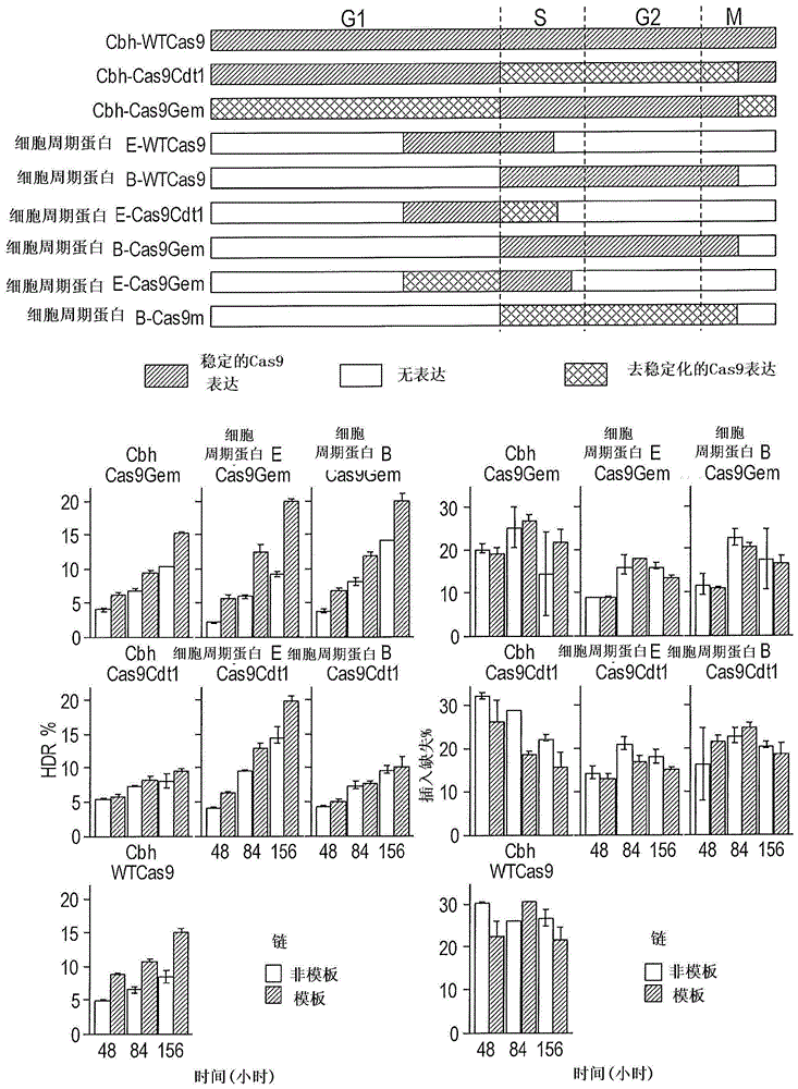 用于基因组编辑和调节转录的CRISPR/CAS系统和方法与流程