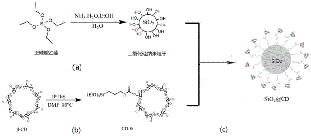 一种L-赖氨酸选择性结构修饰的方法与流程