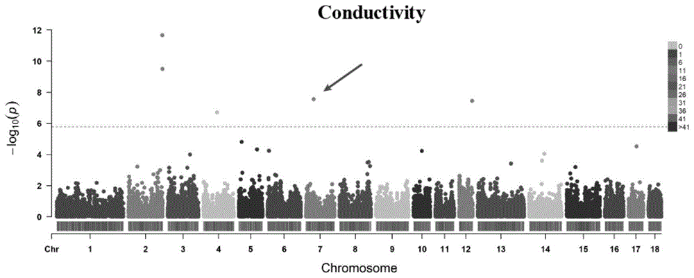 与猪肉质导电率性状相关的SNP分子标记及其应用的制作方法