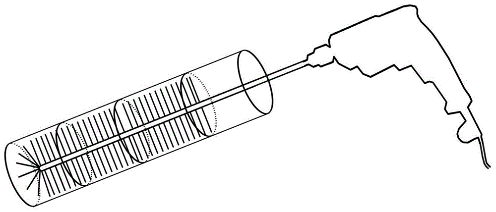 一种灯盏花种子的精选和播种方法与流程