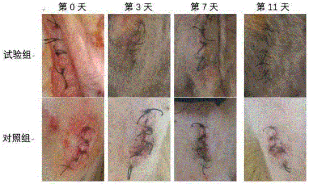 一种用于创伤愈合的康复期宠物膳食的制作方法