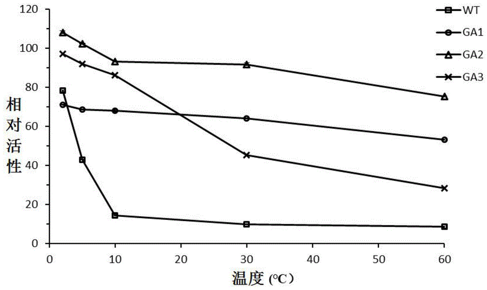 比活及热稳定性提高的葡萄糖淀粉酶突变体GA3及其基因和应用的制作方法