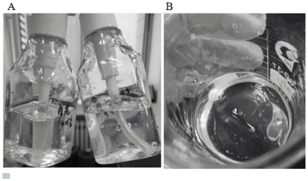 一种消毒凝胶剂及其制备方法与流程