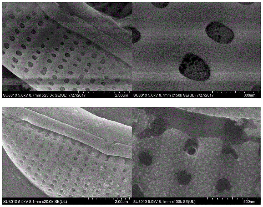 基于硅壳-藻红蛋白的新型材料在光阳极中的应用的制作方法