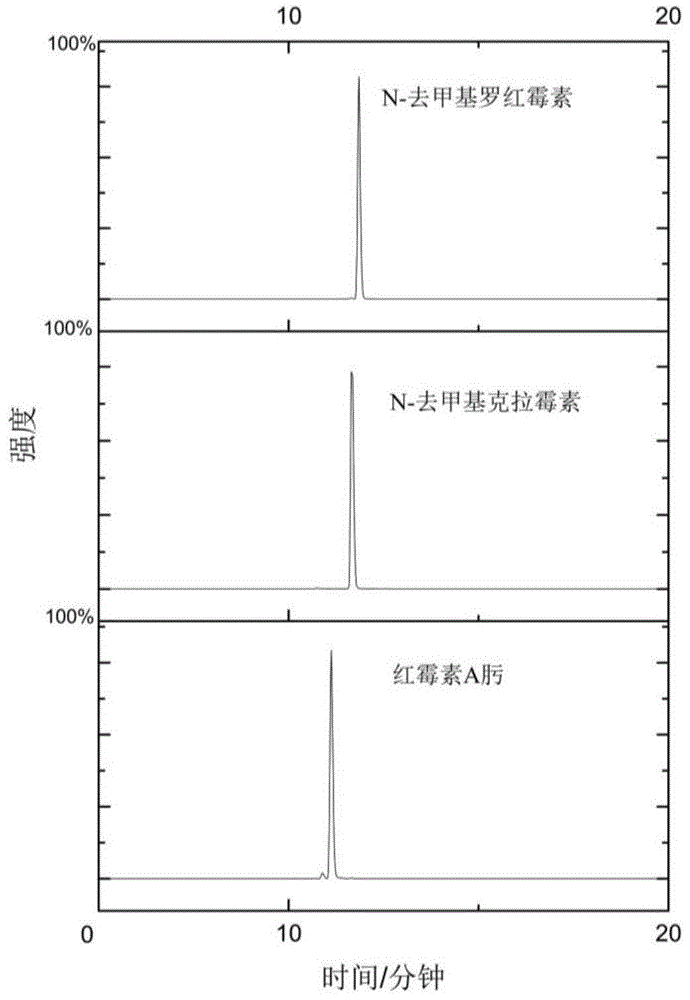 检测大环内酯类化合物的代谢物的方法和试剂盒与流程