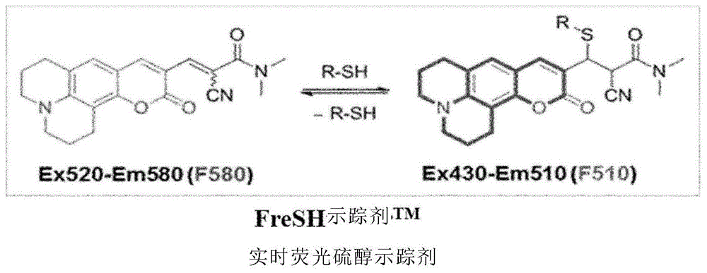 通过实时谷胱甘肽测量改善治疗细胞质量的方法与流程