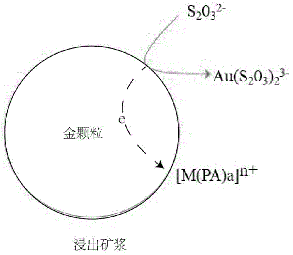 硫代硫酸盐浸金方法及应用与流程