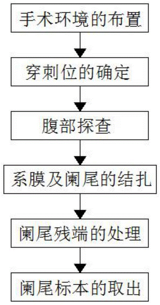 一种腹腔镜阑尾切除手术专用标本取出方法与流程