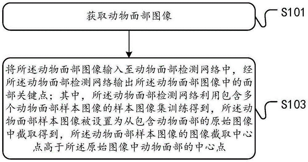 动物面部检测方法及装置与流程