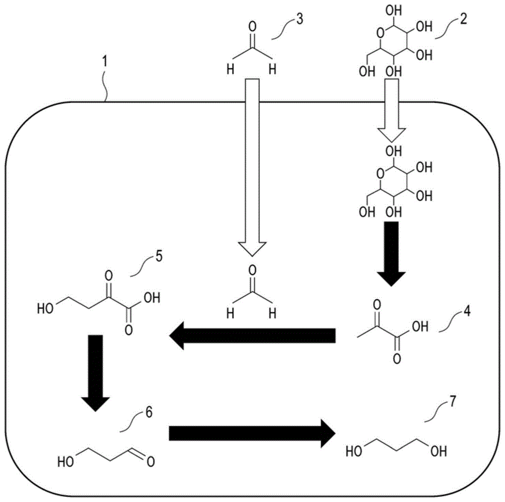 1,3-丙二醇的制造方法与流程