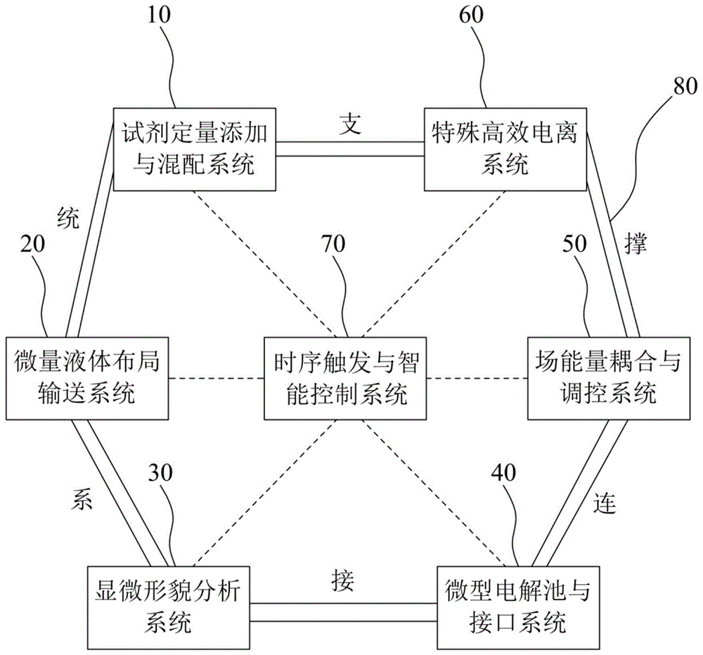 一种混杂样品顺次软电离装置的制作方法