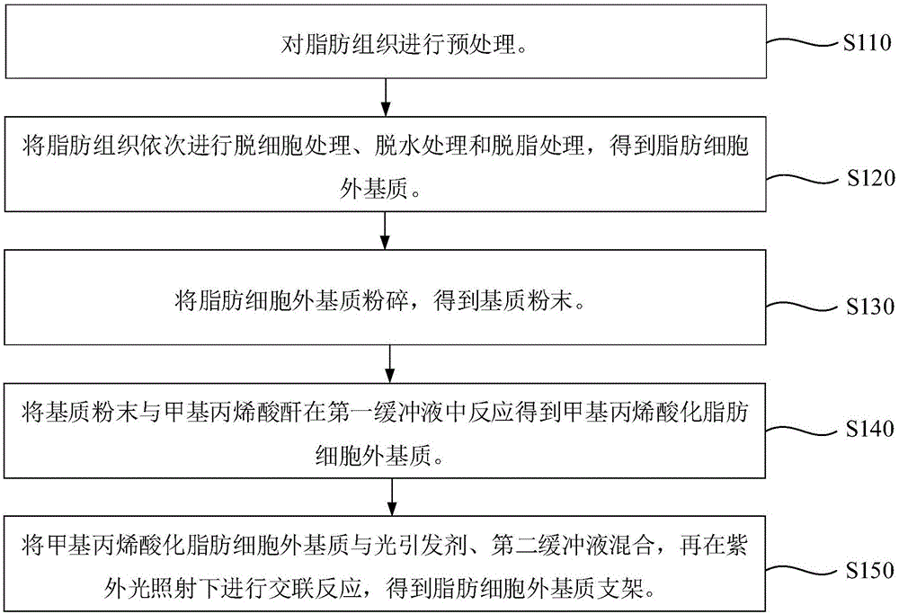 脂肪细胞外基质支架及其制备方法和应用与流程