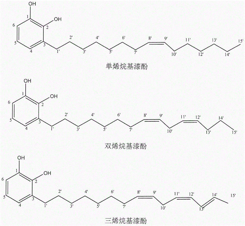 一种Ag+配位树脂络合分离三种不饱和漆酚单体的方法与流程