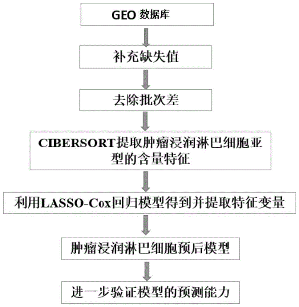 一种食管鳞癌预后评估模型装置及其建模方法与流程