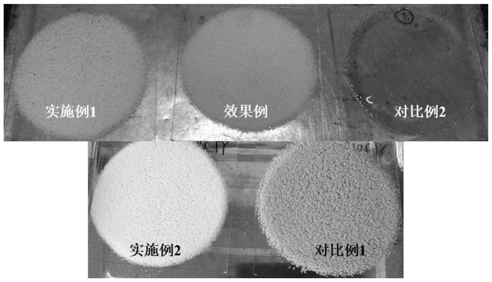 一种耐黄变的聚乙烯醇缩丁醛树脂及其制备方法和应用与流程