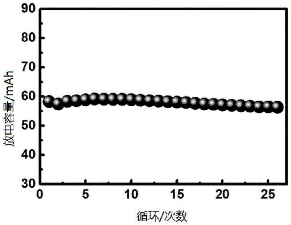 固态聚合物电解质、包含它的固态电池及其制备方法与流程