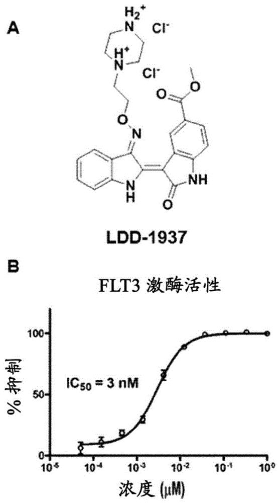 用于预防或治疗急性髓性白血病或转移性乳腺癌的药物组合物的制作方法