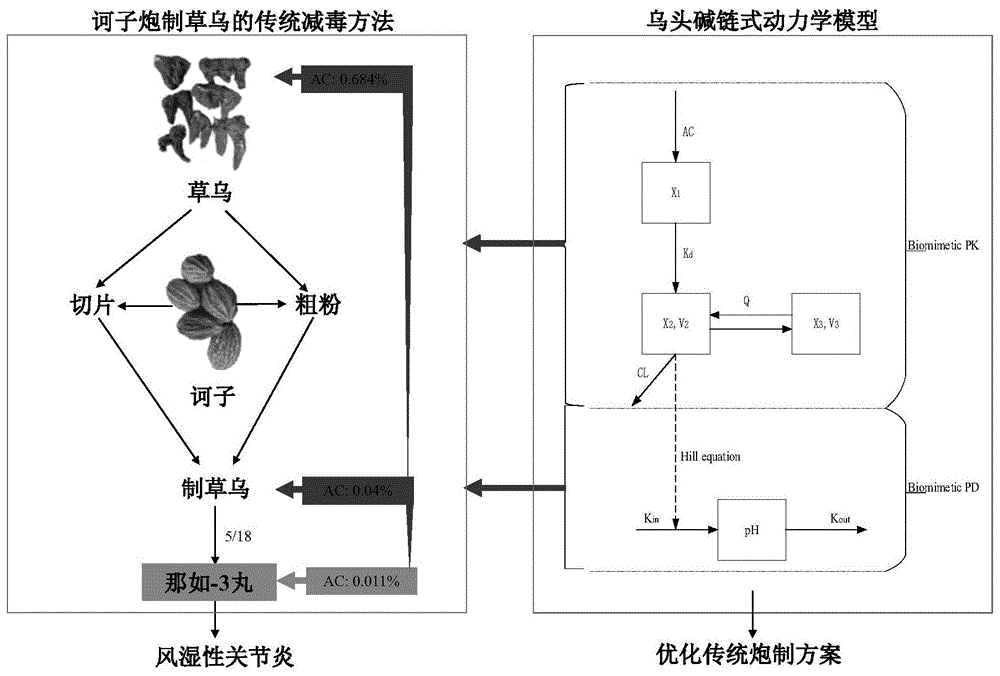 一种定量阐述诃子炮制草乌精准减毒的技术工艺的制作方法