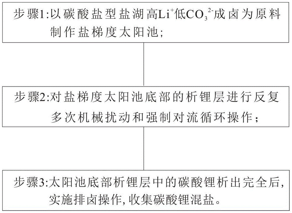 一种提高太阳池中碳酸锂结晶效率的方法与流程