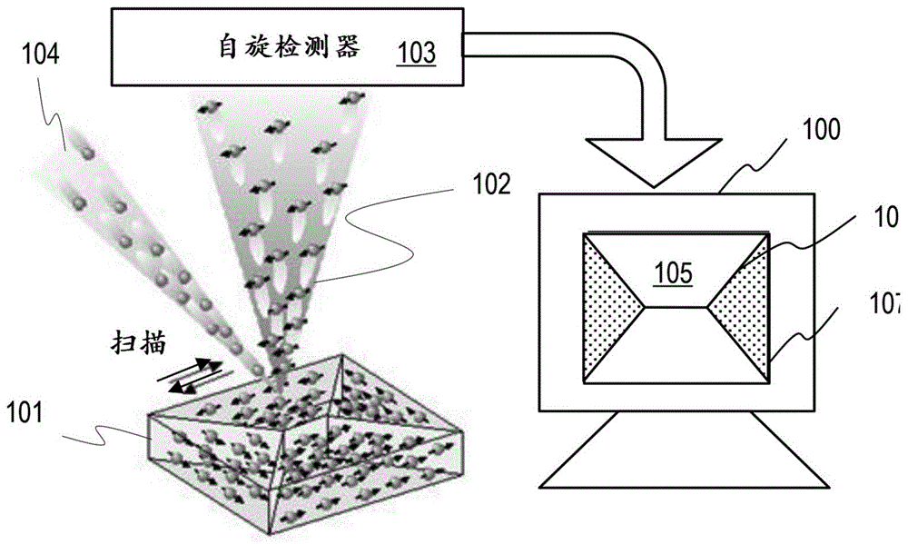 扫描电子显微镜和分析二次电子自旋极化的方法与流程